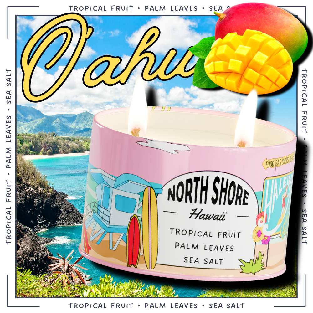 coconut water and palm leaf candle North Shore, Oahu π 8oz Scented Candle β Postcards